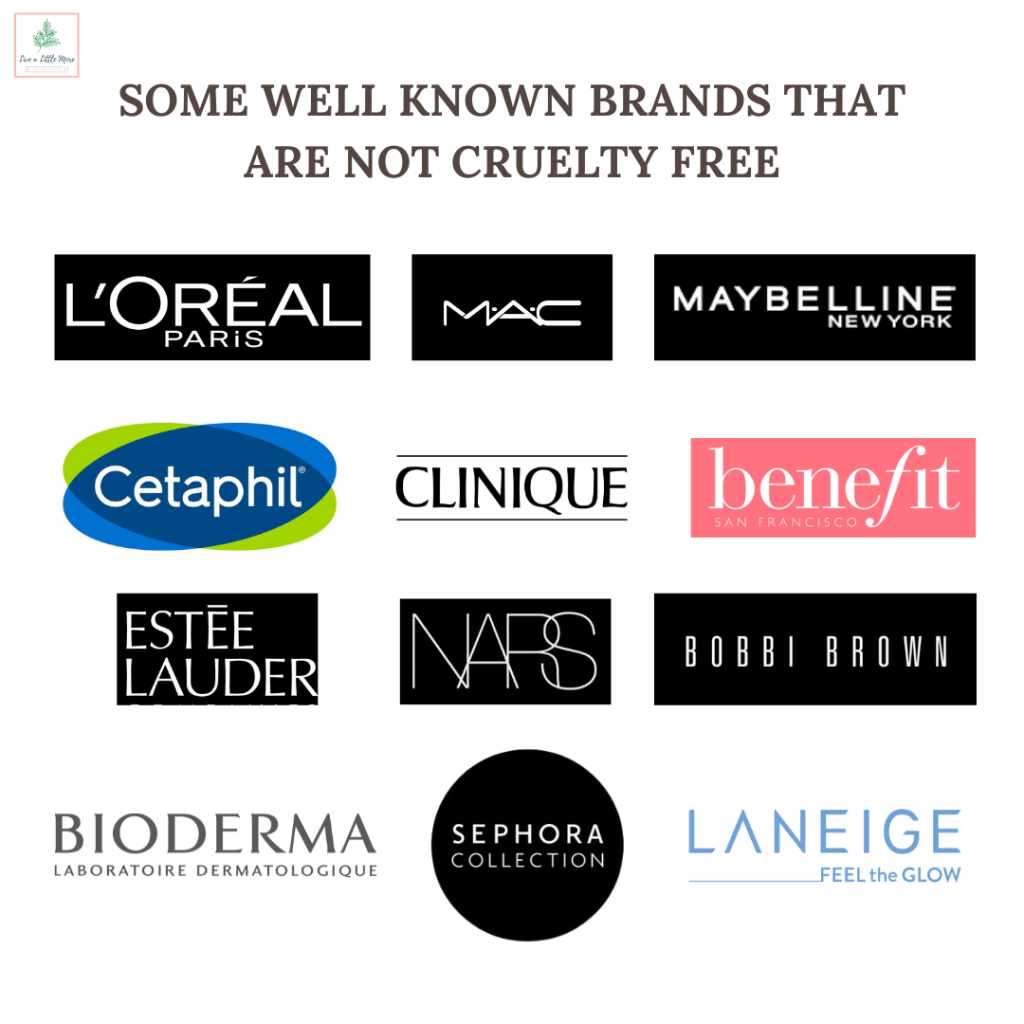 Chapter 5: Animal Testing: The true cost of Beauty – Live a Little More